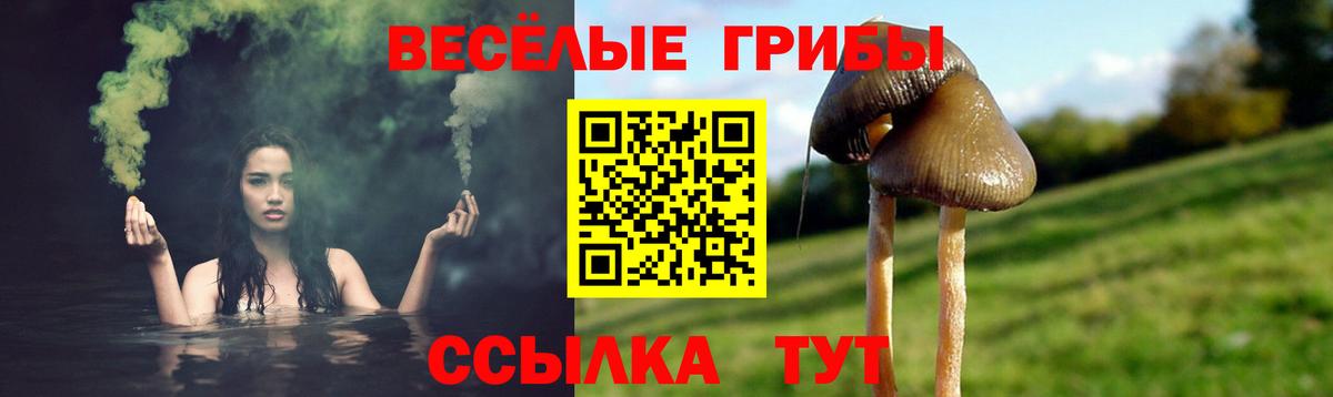 Нерюнгри  где купить наркоту  Вход с VPN  Псилоцибиновые грибы GOLDEN TEACHER 